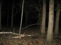 Chicago Ghost Hunters Group investigates Robinson Woods (138).JPG